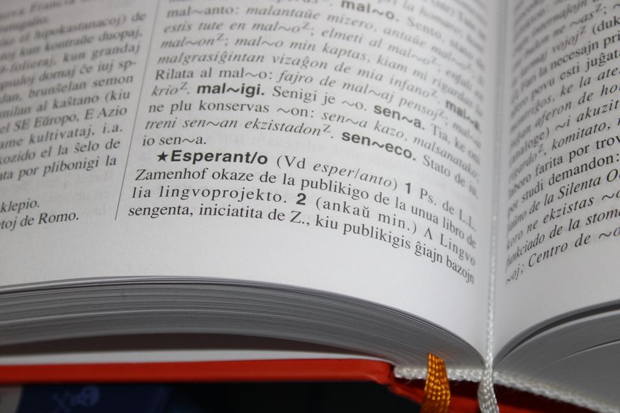 Aufgeschlagenes Wörterbuch, Nahaufnahme